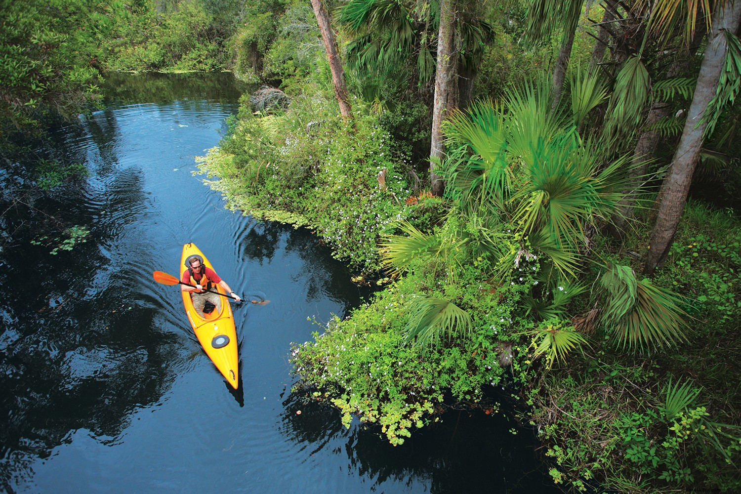 Il punto di fuga della Florida con tutte le sensazioni 